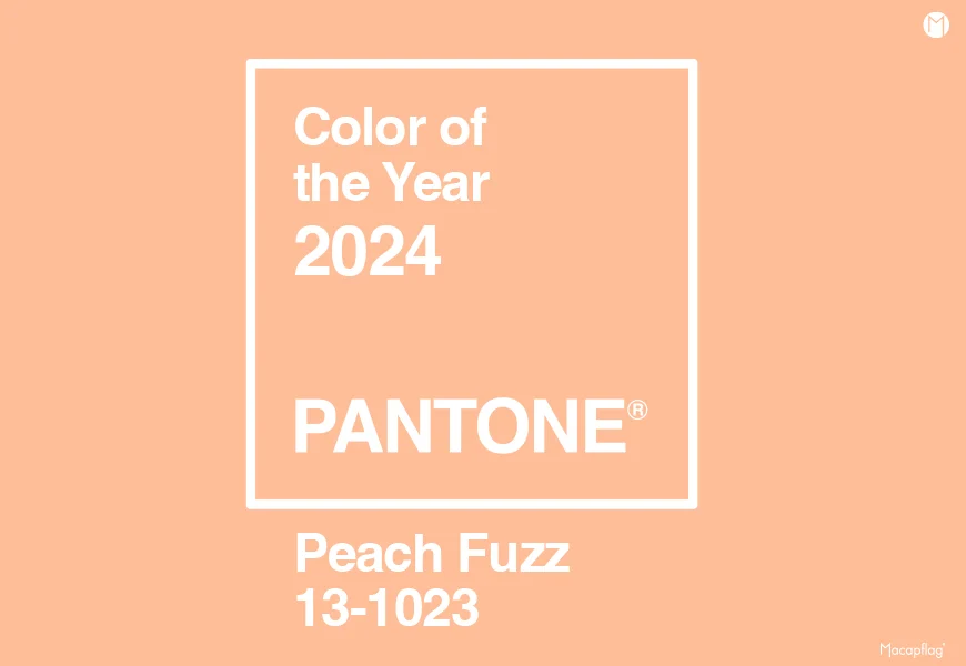 alt="Couleur Pantone de l'année 2024 nommée Peach Fuzz"
